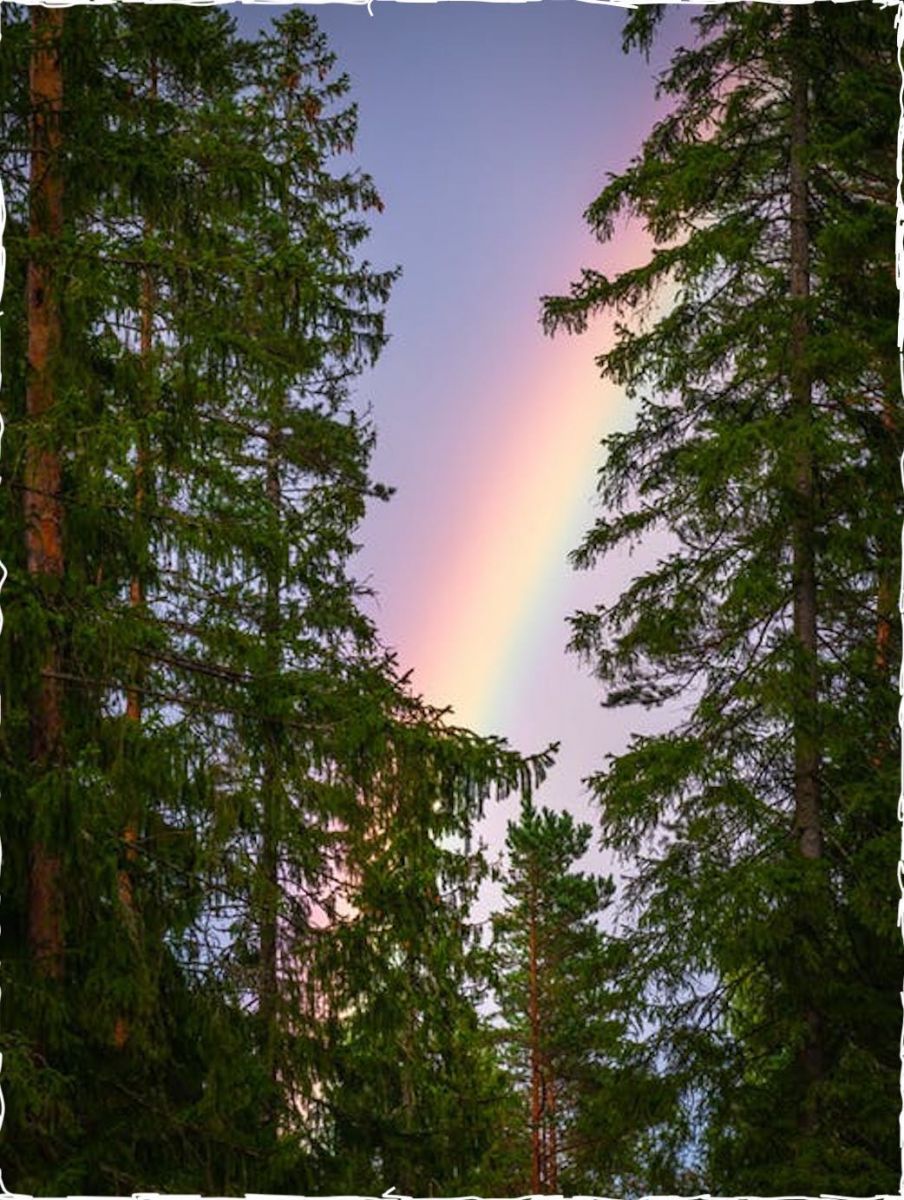 A rainbow brings new life after a storm. To help weather the storm and ride a rainbow there are virtual sessions for well-being coaching and distance healing with Bruce Markow LMT (212) 721-8640
